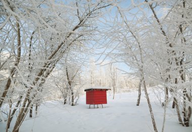 Kırmızı arı kovanı.