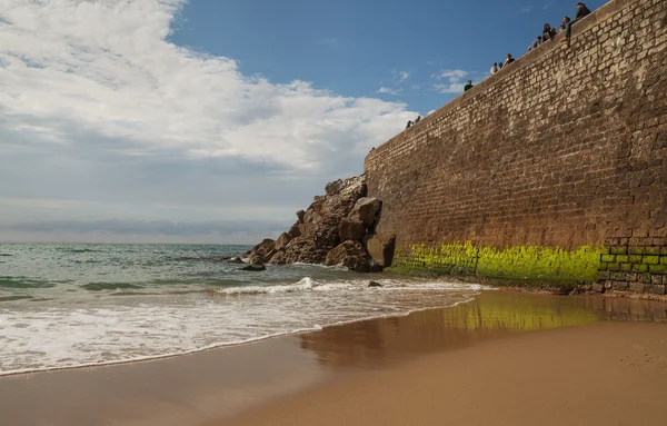 Vista sulla costa in bassa marea . — Foto Stock