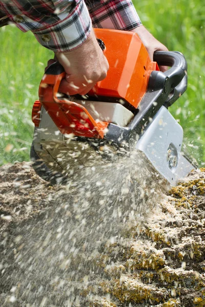 Man snijdt een omgevallen boom. — Stockfoto