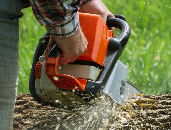 Man snijdt een omgevallen boom. — Stockfoto