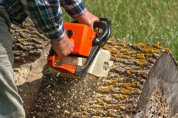 Man cuts a fallen tree. — Stock Photo, Image