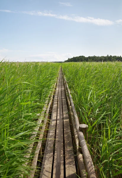 Chemin en bois à la campagne . — Photo