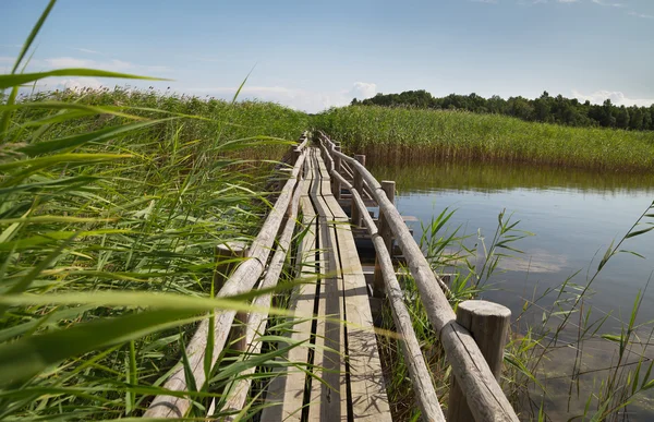 Wooden path in countryside. — Stock Photo, Image