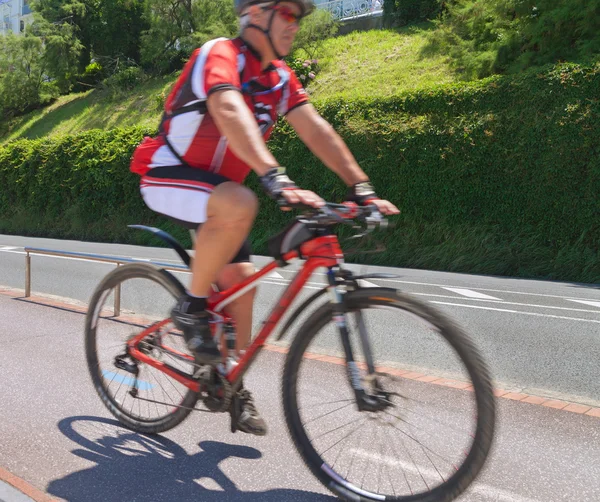 Cyclist on the promenade. — Stock Photo, Image