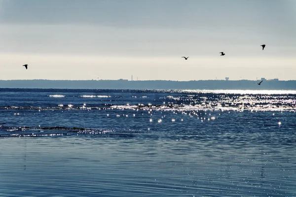 Lever de soleil au-dessus de la mer . — Photo