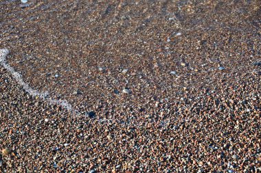 Baltık Denizi sahilinde çakıl taşları.