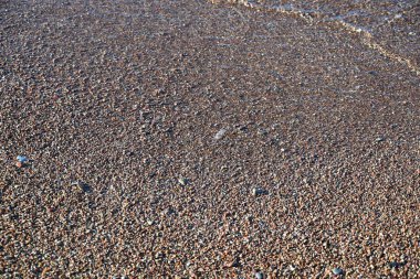 Baltık Denizi sahilinde çakıl taşları.