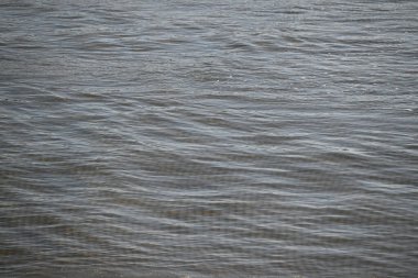 Baltık Denizi 'nin gri su yüzeyi.