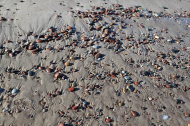 Baltık Denizi kıyısında taş yüzeyi.