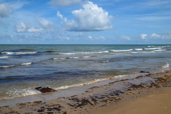 Baltık Denizi kıyısı manzarası.