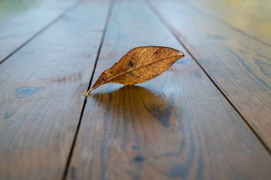 Bahçe masasının üzerine düşen yaprak.