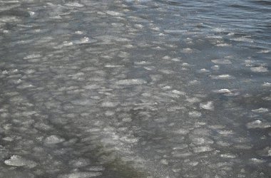 Baltık Denizi 'nin soğuk sularında eriyen buzlar sürükleniyor..