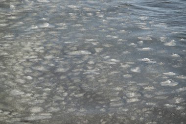 Baltık Denizi 'nin soğuk sularında eriyen buzlar sürükleniyor..