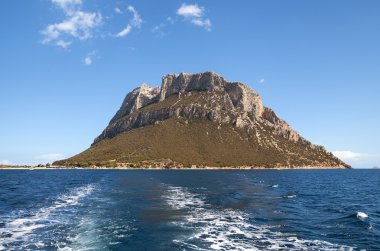 Tavolara Adası görünümünü.