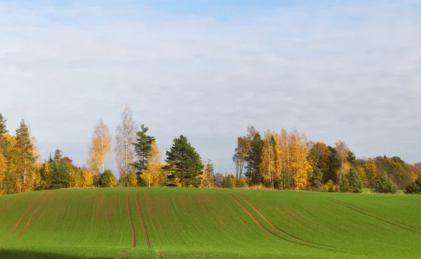 Herbst auf dem Land. — Stockfoto