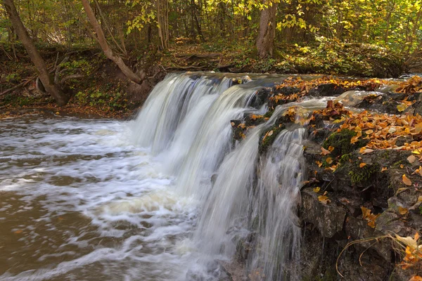 River in an autumn. — Stock Photo, Image