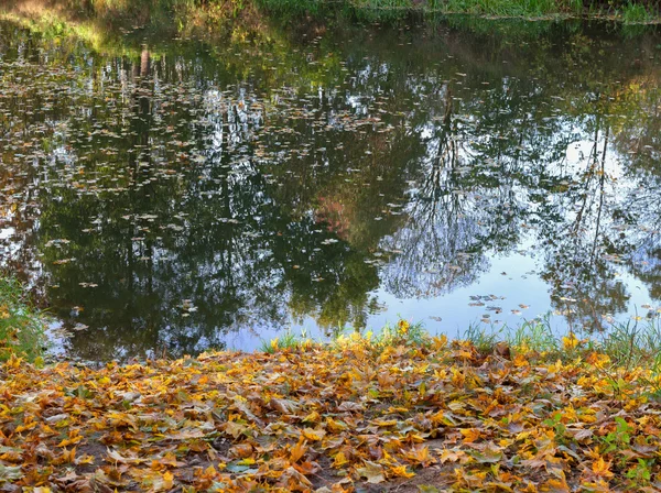River in an autumn. — Stock Photo, Image