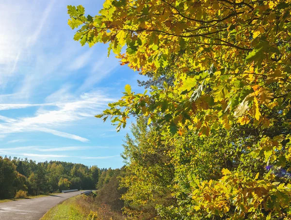 Route de campagne en automne . — Photo