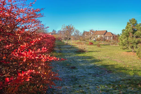 Yard in an autumn. — Stock Photo, Image