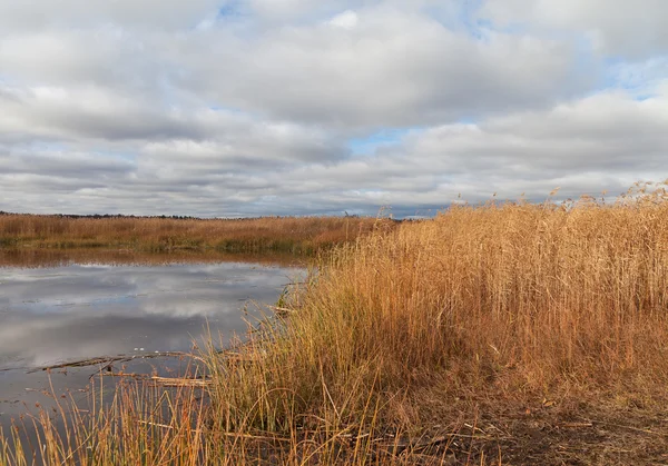 Lago em um autums . — Fotografia de Stock