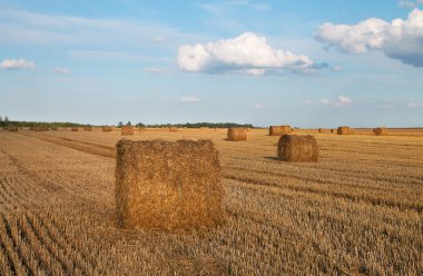 Samandan balyalarla dolu bir alan.