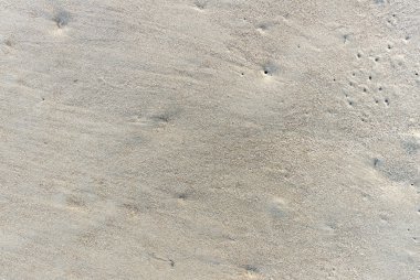 Sandy yüzey denizde.