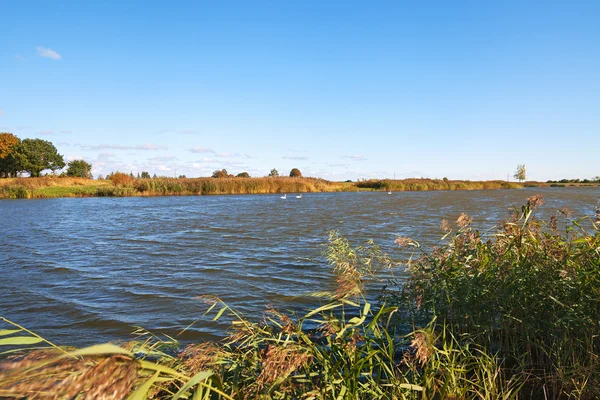 Vento acima do lago . — Fotografia de Stock