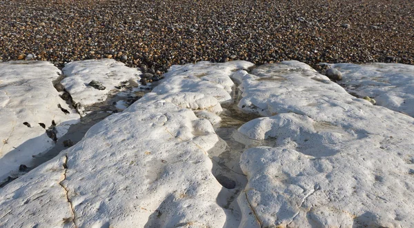 Dettaglio della costa calcarea . — Foto Stock