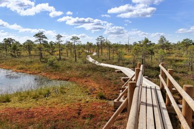 Bataklığa görüntülemek.