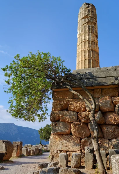 Ruins of temple Apollo. — Stock Photo, Image