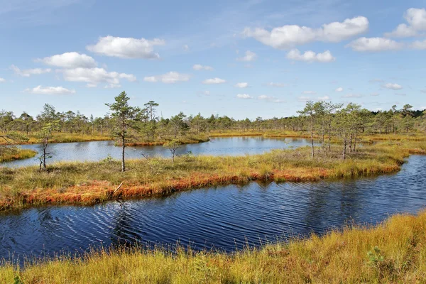 Parque nacional de Kemeri en Letonia . — Foto de Stock