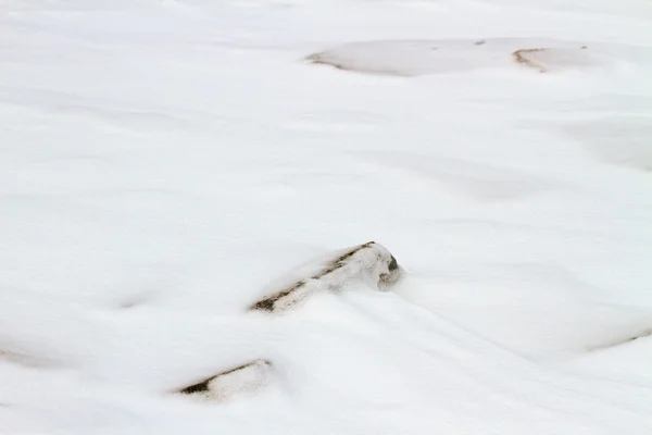 Деталь снежного фона . — стоковое фото