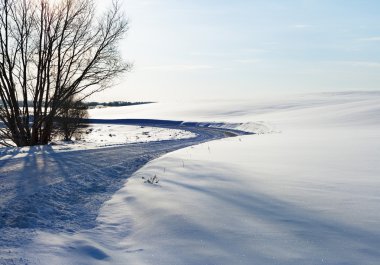 Doğal köy yolunda.