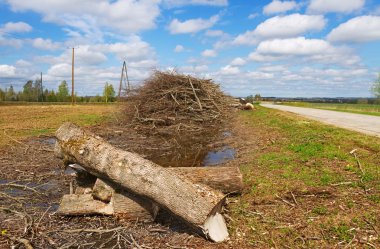 Günlükleri ile ülkenin peyzaj.