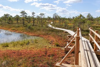 Bataklığa görüntülemek.