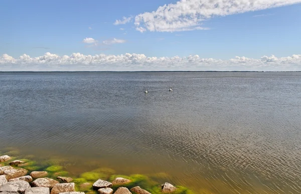 Blick auf das Meer. — Stockfoto