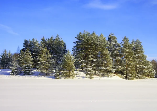 Paisagem em um inverno . — Fotografia de Stock