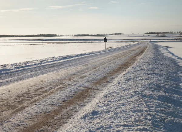 Natural country road. — Stock Photo, Image