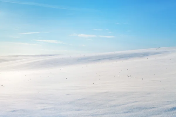 Campo coberto de neve . — Fotografia de Stock