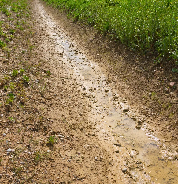 Fossé dans un champ . — Photo