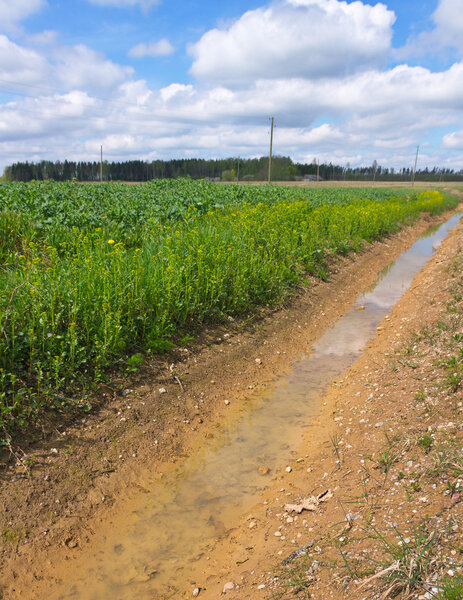 Зуд в поле
.