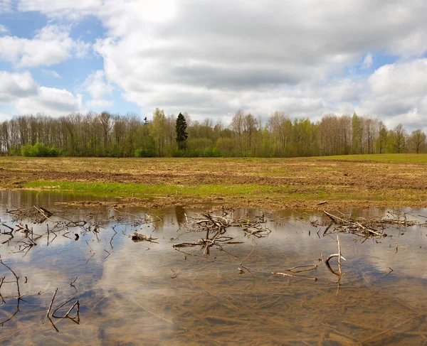 Frühjahrsüberflutetes Feld. — Stockfoto