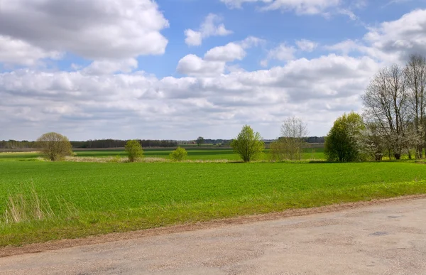 Strade di campagna - un'altra direzione . — Foto Stock