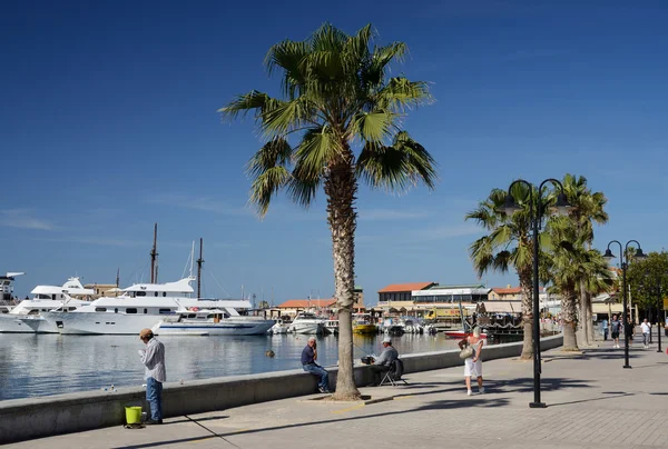  Pafos sahil ile palm ağaçlar, balıkçı ve Baf, Cyprus.Paphos - eski şehir Unesco listpaphos, Kıbrıs dahil - 20 Nisan tarihinde 20 Nisan 2016 tekne: Paphos sahil PA görünümünü