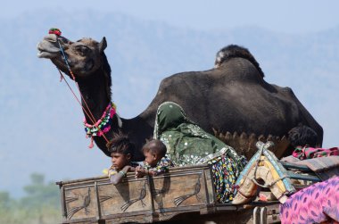 Thar Çöl Pushkar kutsal şehir, Hindistan geleneksel deve adil tatil için hazırlanıyor gelen göçebe kabile aile