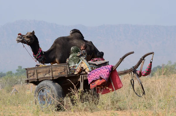 La famiglia zingara si prepara alla tradizionale vacanza in cammello nel campo nomade di Pushkar, Rajsthan, India — Foto Stock