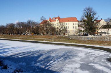 Uzh Nehri ile en uzun içinde Avrupa ıhlamur ağacı Alley, dolgu, Uzhgorod, kış zamanı, Zakarpattia, Batı Ukrayna üzerinde uzanmış