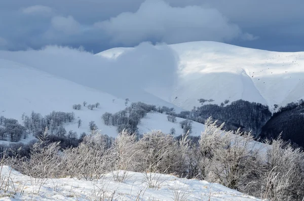 Manhã gelada de inverno na encosta da montanha de Gemba, Cárpatos, Zakarpattia, Ucrânia Ocidental — Fotografia de Stock