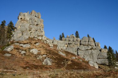 Tustan - rock kalede Karpat Dağları, tarihi ve kültürel rezerv, Ukrayna