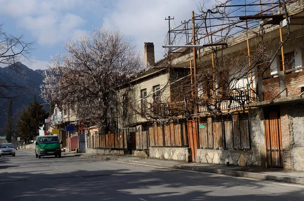 Antigua arquitectura georgiana y árboles de flores de primavera en Mtskheta, capital histórica de Georgia, Asia Central —  Fotos de Stock